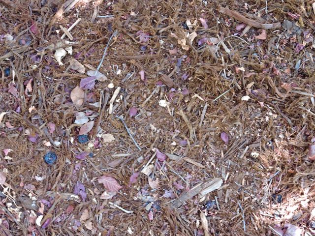 garden-redwood-mulch-and-plum-leaf-mulch-1