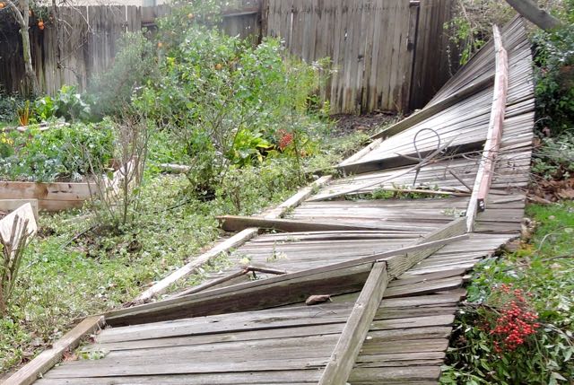 garden-fence-fallen-january-1
