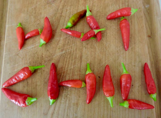 garden kitchen hot chili logo - 1
