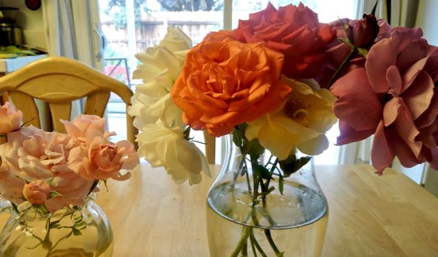 garden kitchen rose displays multicolor may - 1