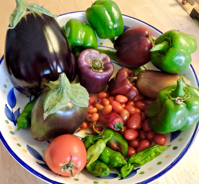 garden bowl tomatoes eggplant shishitos peppers oct 17 - 1