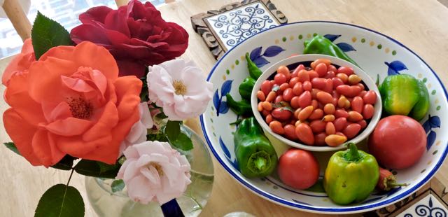 roses and veggies tomatoes on display oct 17 - 1