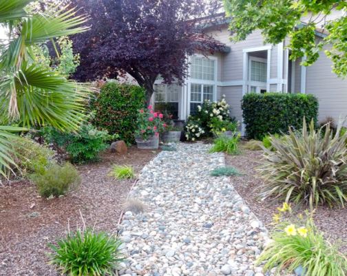 garden front dry creek and flowers bushes trees may - 1