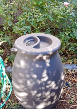 garden sun dappled rain barrel dec 17 - 1
