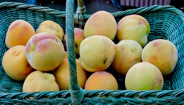 garden peach harvest first week jul18 - 1