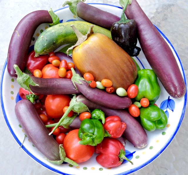 garden last harvest of summer display - 1