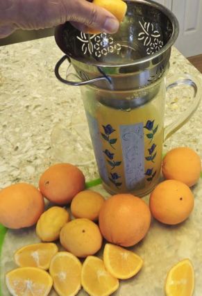 kitchen squeezing lemons and oranges in juice jan 19 - 1