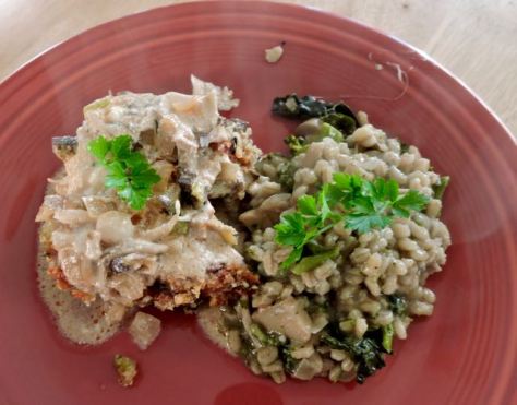 kitchen meatloaf stroganoff with barley broccoli feb 19 - 1