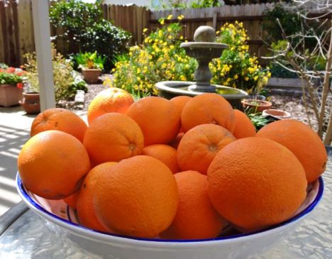 garden oranges in bowl picked march 26 19 - 1