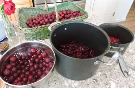 kitchen 400 plums w colander and boiling pots jun 19 - 1