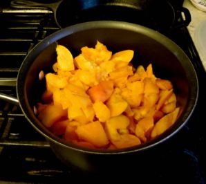 kitchen apricots cut up for cooking jun 19 - 1