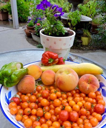 kitchen july harvest display late jul19 - 1
