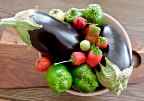 kitchen bowl of eggplant peppers tomatoes sept 19 - 1