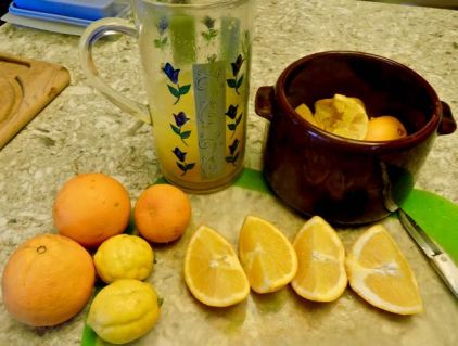 kitchen making orange lemon juice dec 19 - 1