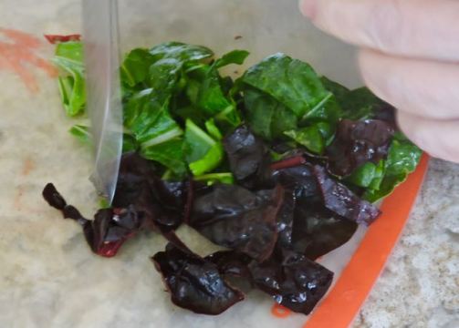 kitchen chopping fresh chard jan 20 - 1