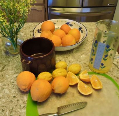 kitchen oranges and lemons for juicemaking 2 20 - 1