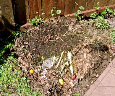 garden compost after bin removed 4 9 20 - 1