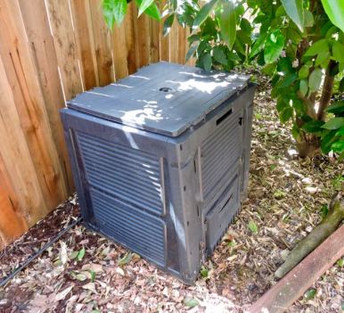 garden compost bin under orange tree 4 9 20 - 1