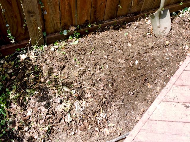 garden compost turned over 4 9 20 - 1