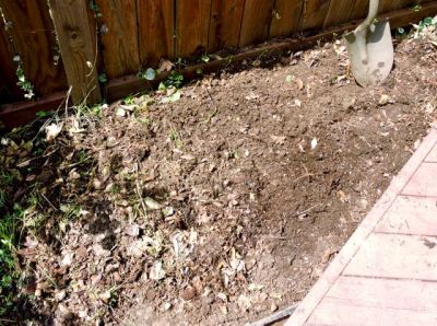 garden compost turned over 4 9 20 - 1