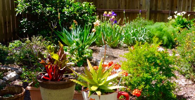 garden southwest corner panorama 4 13 20 - 1