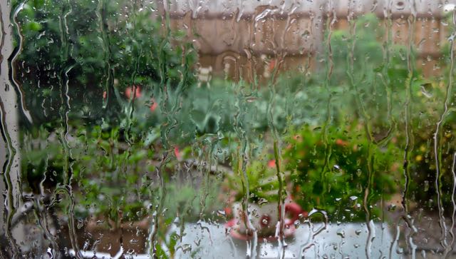 garden back garden through window in cloudburst 5 18 20 - 1