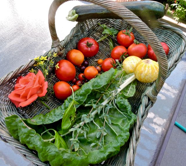 garden still life days harvest 7 7 20 - 1