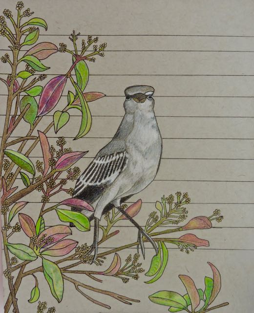 irene portrait mockingbird sings to me 7 7 20 - 1