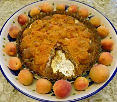 kitchen apricot ginger graham cracker tart 6 10 20 - 1