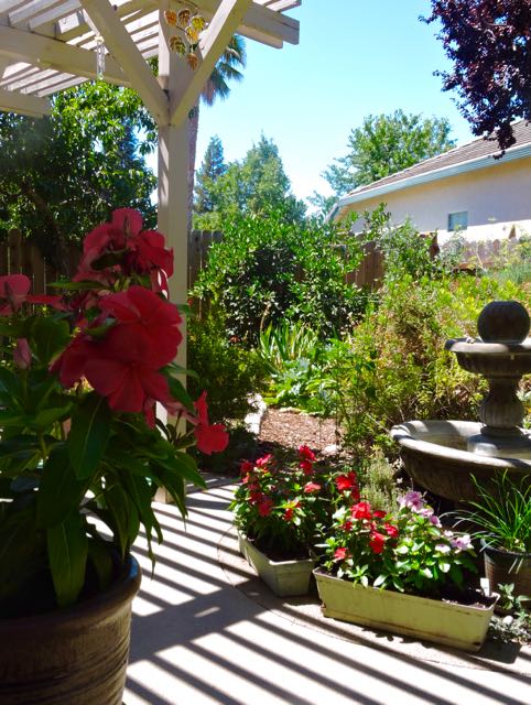 garden pergola shadows and SW corner pano 7 22 20 - 1