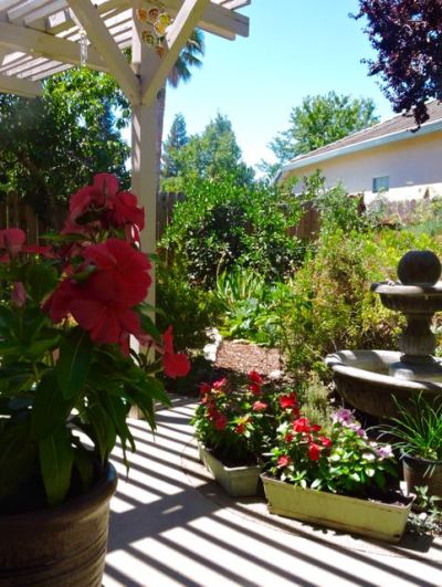garden pergola shadows and SW corner pano 7 22 20 - 1