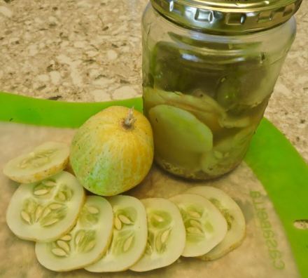 kitchen chopped lemon cukes 7 25 20 - 1