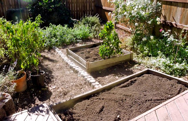 garden back ground readied for fall-winter planting oct 17 2020 - 1