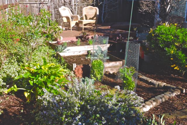 garden back toward north midday feb 14 2021 - 1