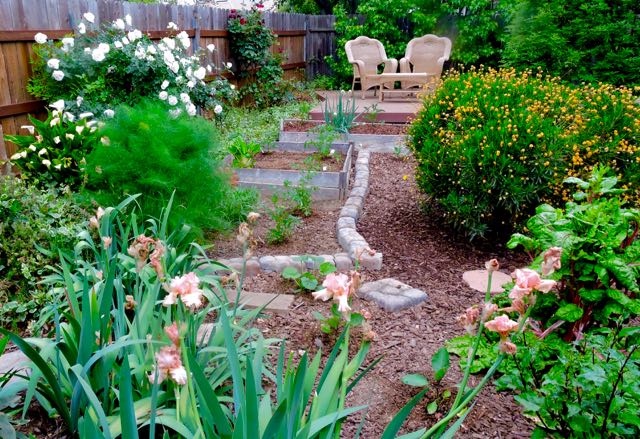 garden pano to north w new plants apr 25 2021 - 1