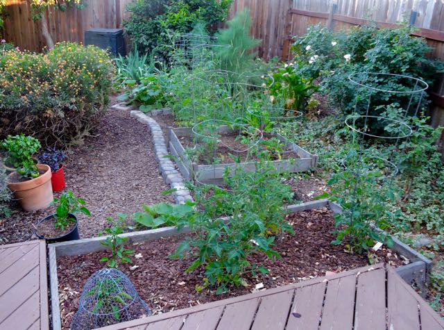 garden back pano to S at sunset may 25 2021 - 1