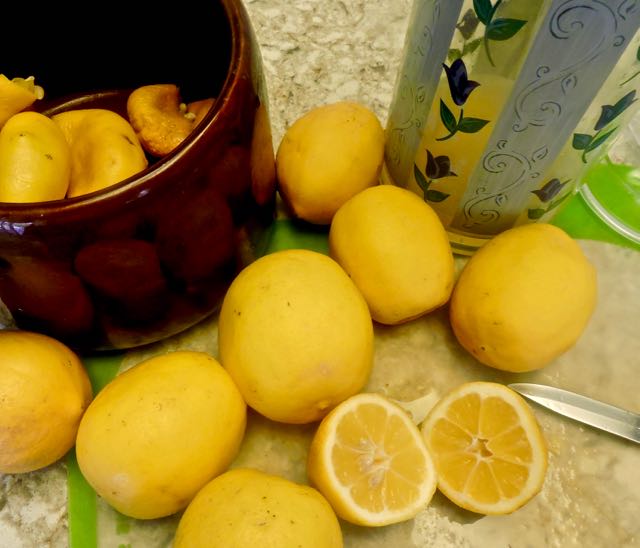 garden cutting lemons for lemonade jun 21 2021 - 1