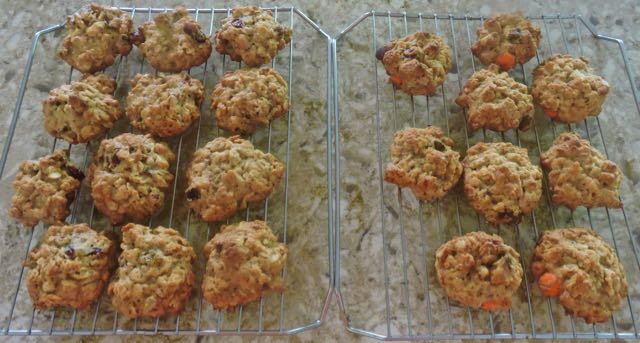 kitchen 2 types of oatmeal cookies jun 22 2021 - 1
