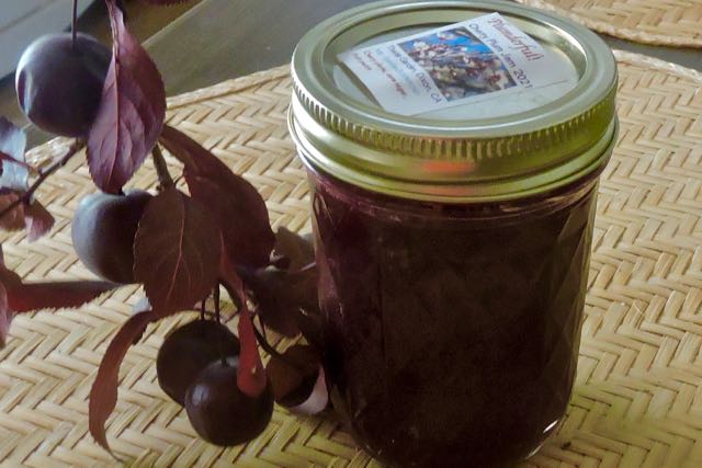 kitchen cherry plum sprig and jar of new jam jun 22 2021 - 1