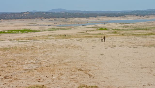 folsom lake reservoir jul 24 2021 - 1