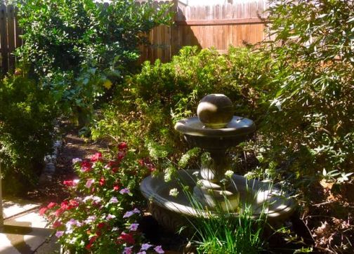 garden back pomegranate eggplant lemon vinca chives lupine coreopsis fountainsep 23 2021 - 1