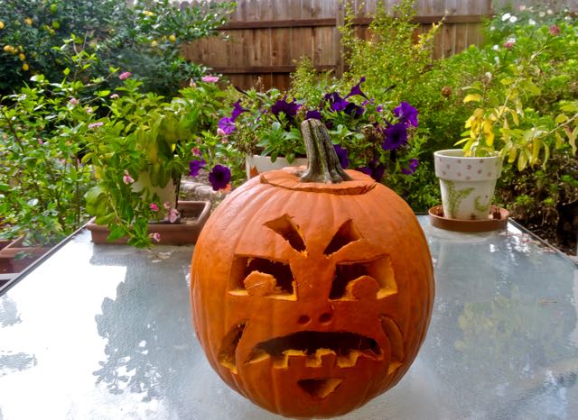 garden scary Halloween pumpkin lemons vinca oct 31 2021 - 1