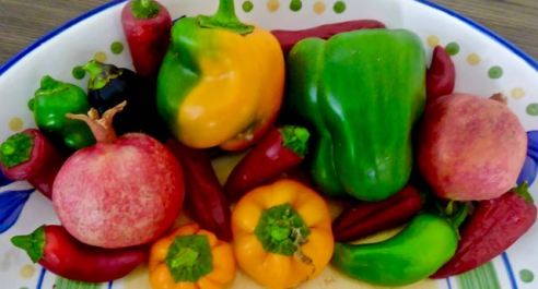 kitchen oct produce peppers fresnos pomegranates oct 23 2021 - 1