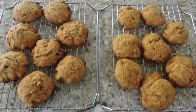 kitchen pumpkin chocolate chip cookies oct 20 2021 - 1