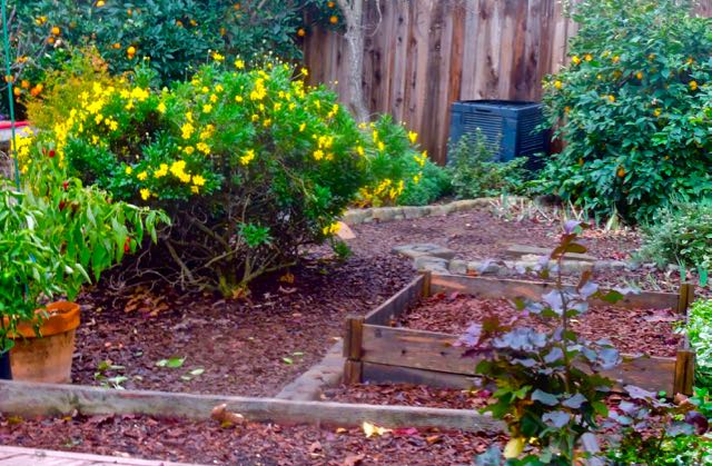 garden back garden pano to south dec 26 2021 - 1