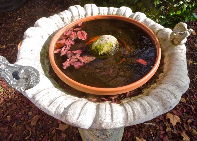 garden birdbath with cherry plum leaves jan 15 2022 - 1
