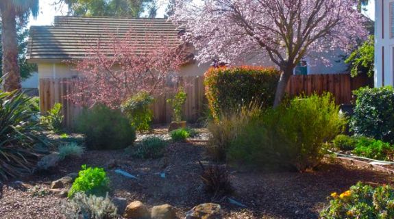 garden narrow front pano to S Feb 13 2022 - 1