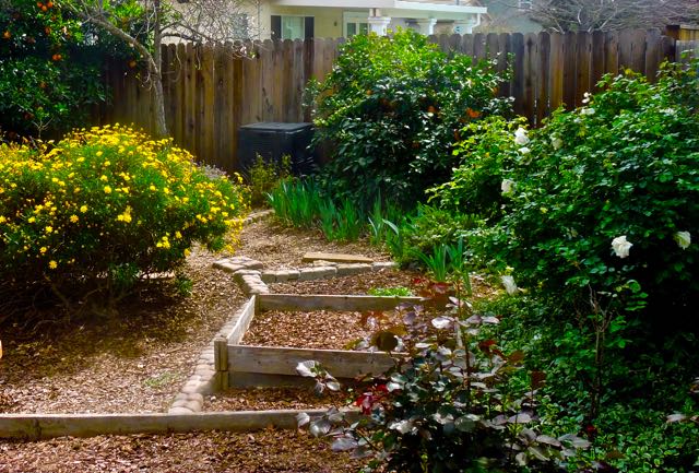 garden back pano to S empty beds mar 13 2022 - 1