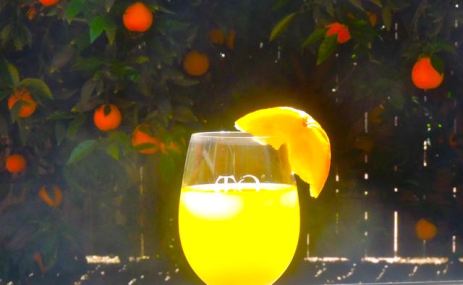 kitchen glass of oj with slice 3 mar 23 2022 - 1