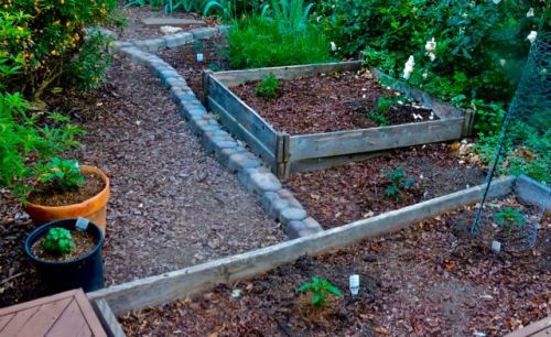 garden back few new veggy plants apr 28 2022 - 1